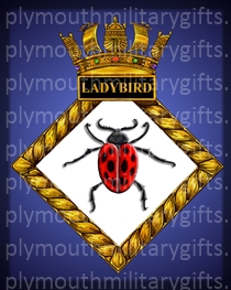 HMS Ladybird Magnet